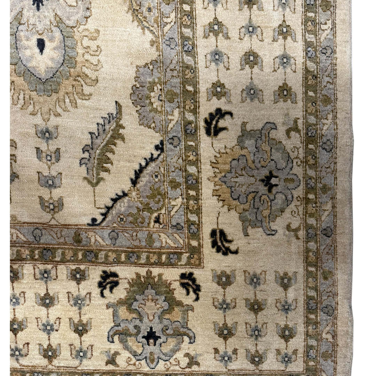 Pacific Ziegler 43801 Ivory Ivory Transitional Hand Knotted Rug