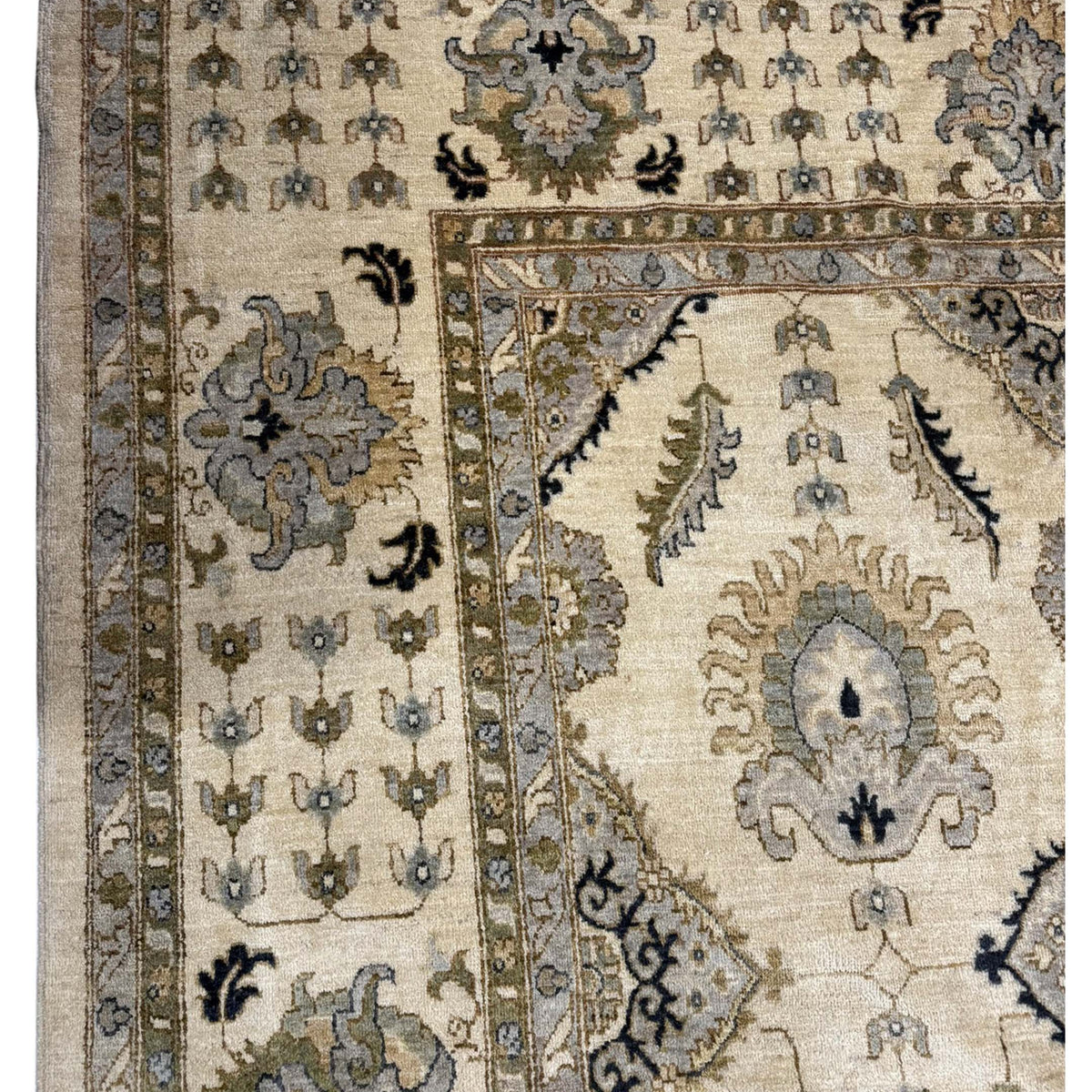Pacific Ziegler 43801 Ivory Ivory Transitional Hand Knotted Rug