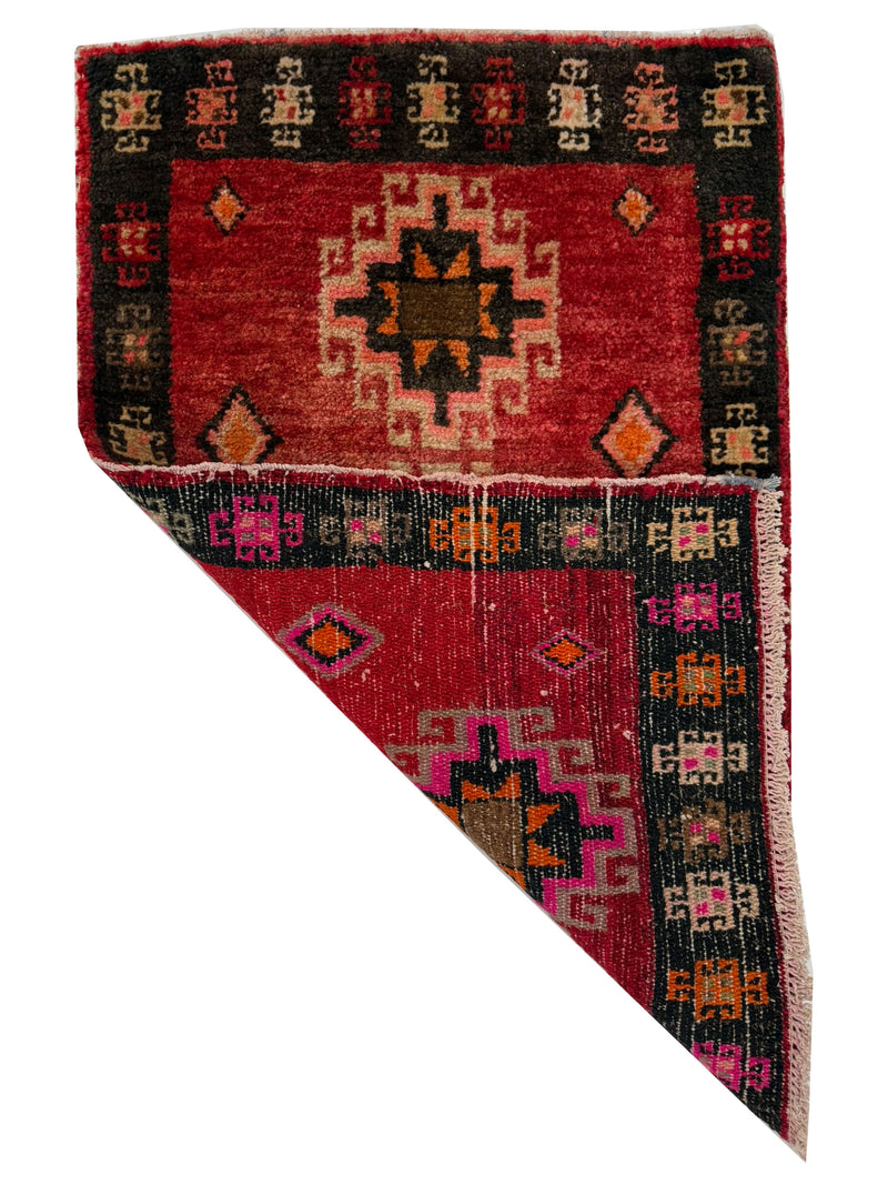 Pacific Anatolian 43811 Rust Beige Hand Knotted Rug