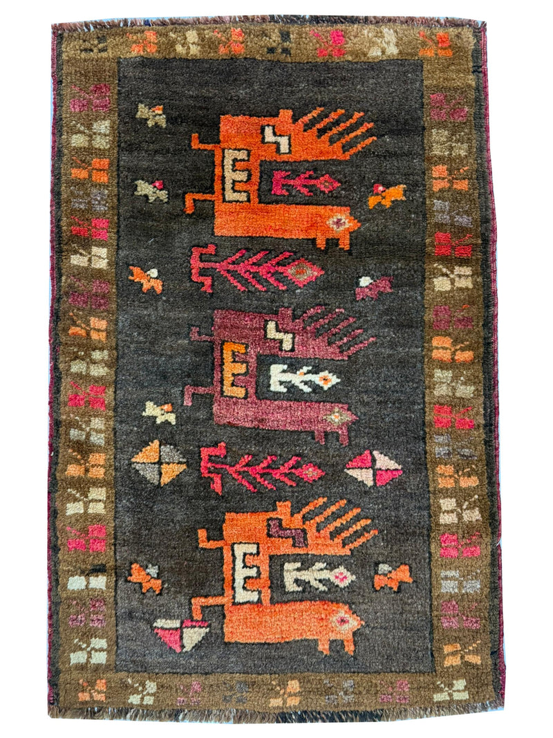 Pacific Anatolian  Brown Orange 