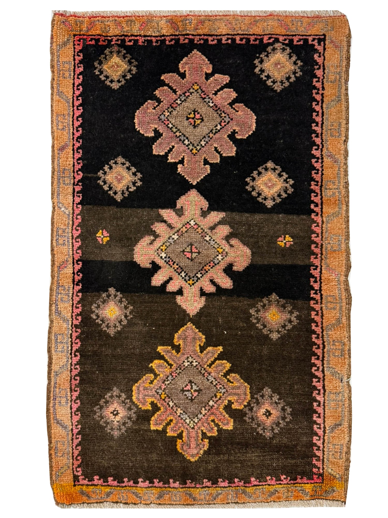 Pacific Anatolian  Brown Rust 