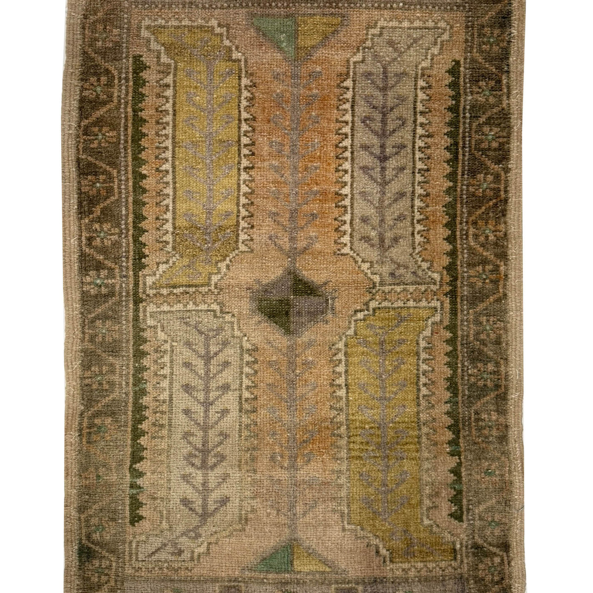 Pacific Anatolian  Beige Tan 