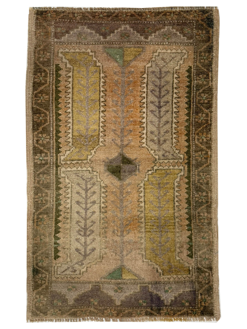 Pacific Anatolian  Beige Tan 