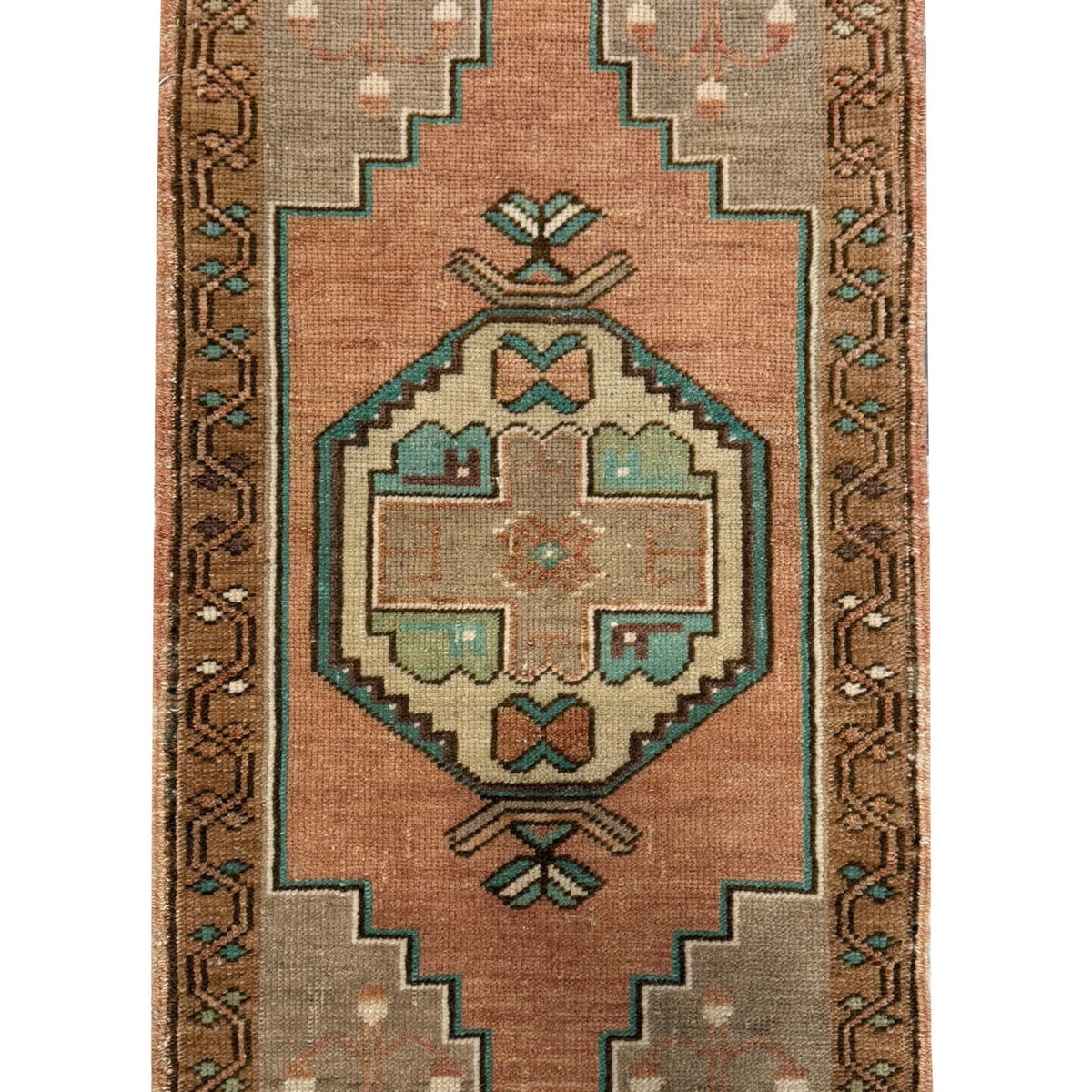 Pacific Anatolian  Saman Camel 