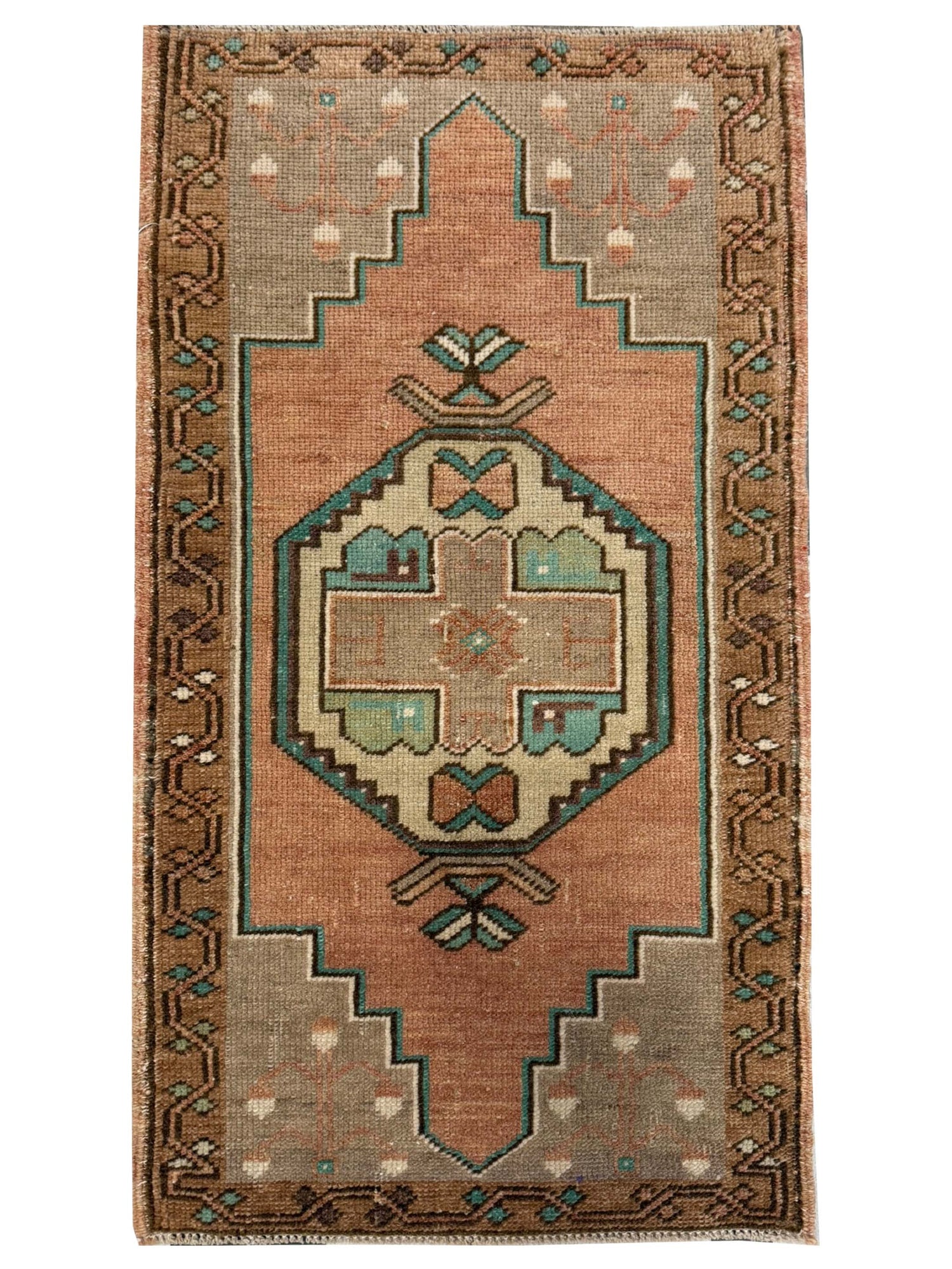 Pacific Anatolian  Saman Camel 