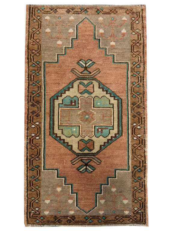 Pacific Anatolian  Saman Camel 