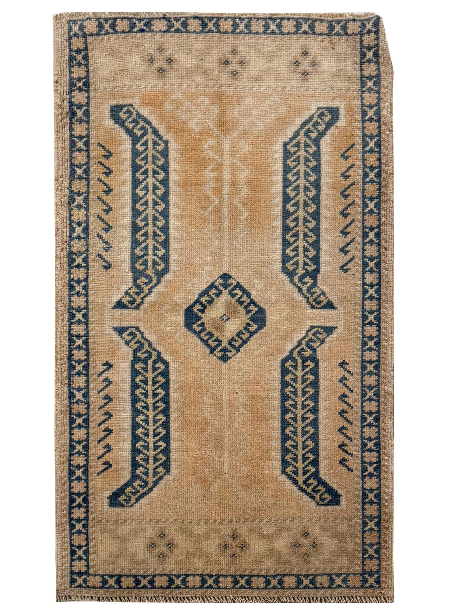 Pacific Anatolian  Beige Teal Tradional