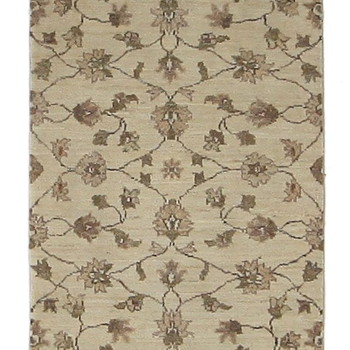 Pacific Ziegler  Ivory Ivory Transitional
