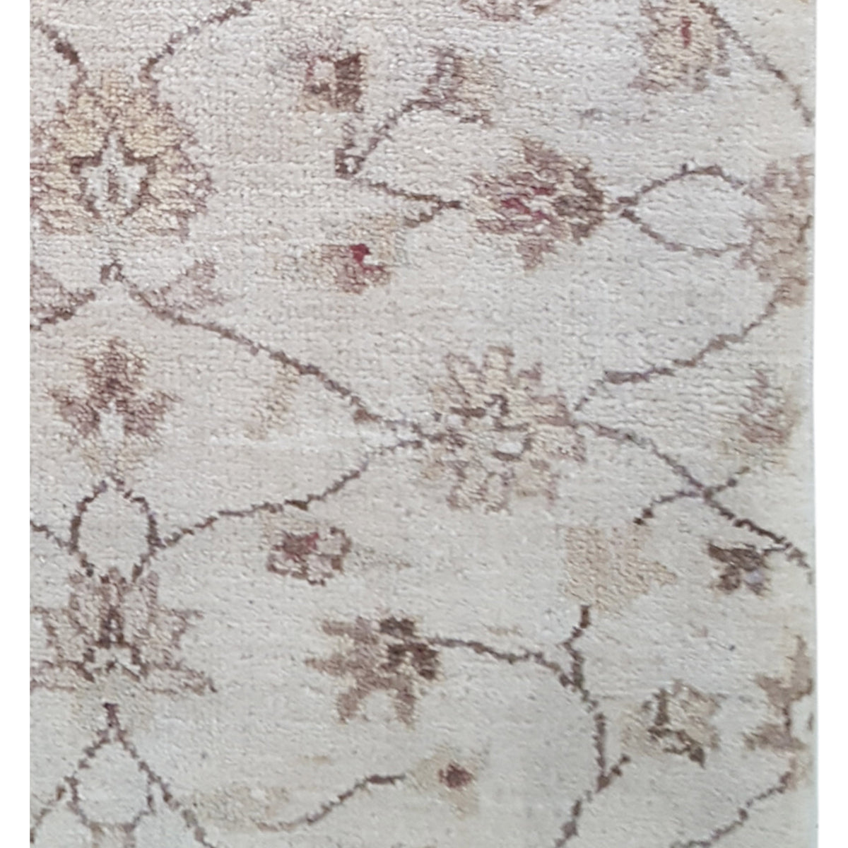 Pacific Ziegler 60041 Ivory Ivory Transitional Hand Knotted Rug