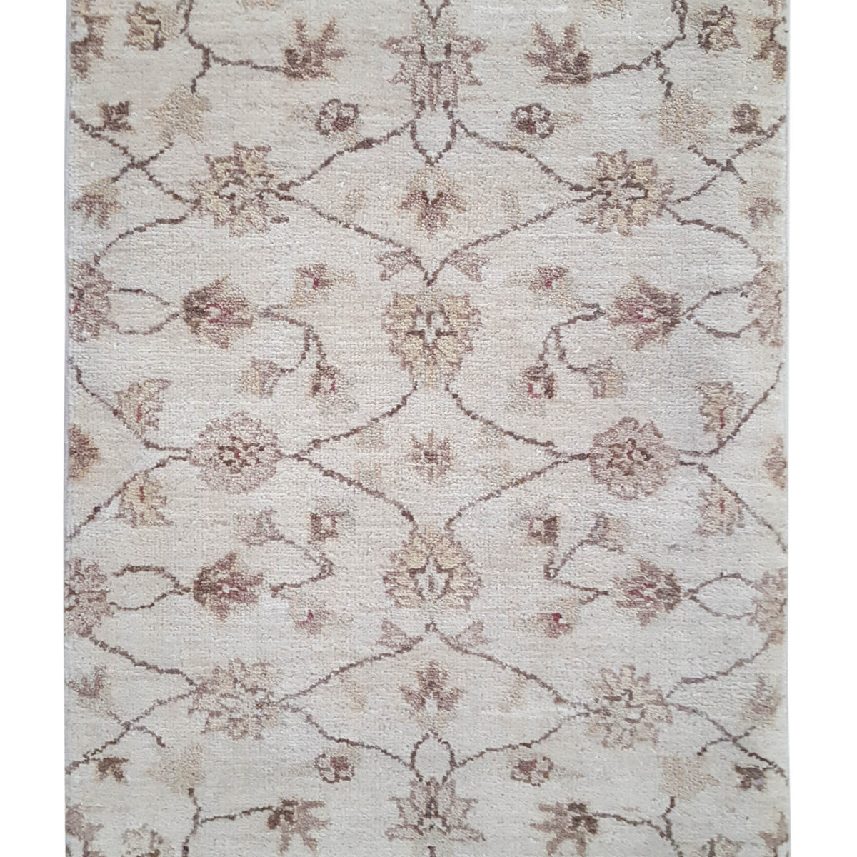 Pacific Ziegler  Ivory Ivory Transitional