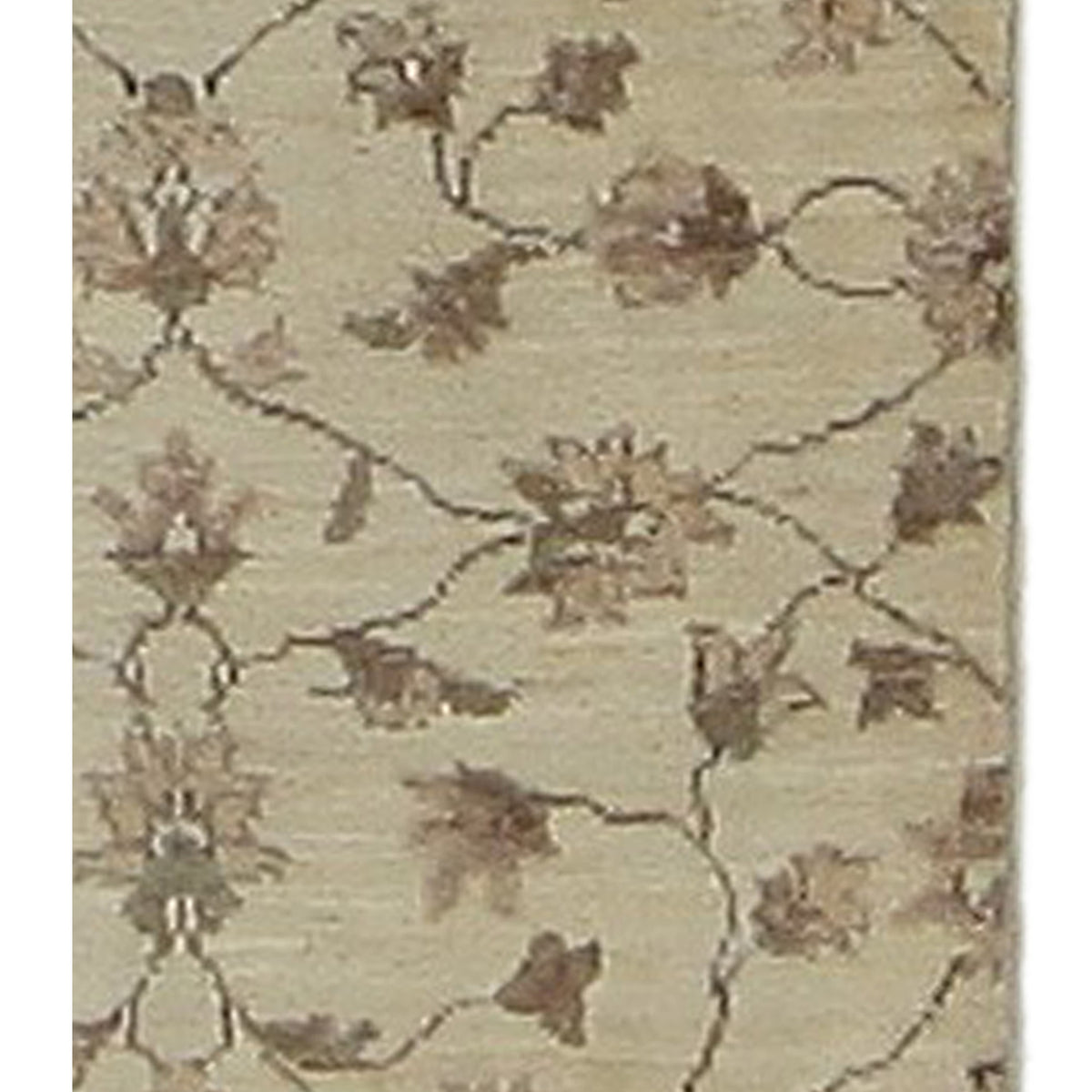 Pacific Ziegler 60042 Ivory Ivory Transitional Hand Knotted Rug