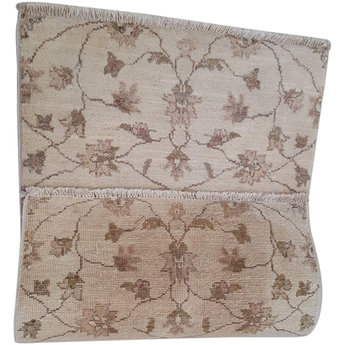 Pacific Ziegler 60042 Ivory Ivory Transitional Hand Knotted Rug