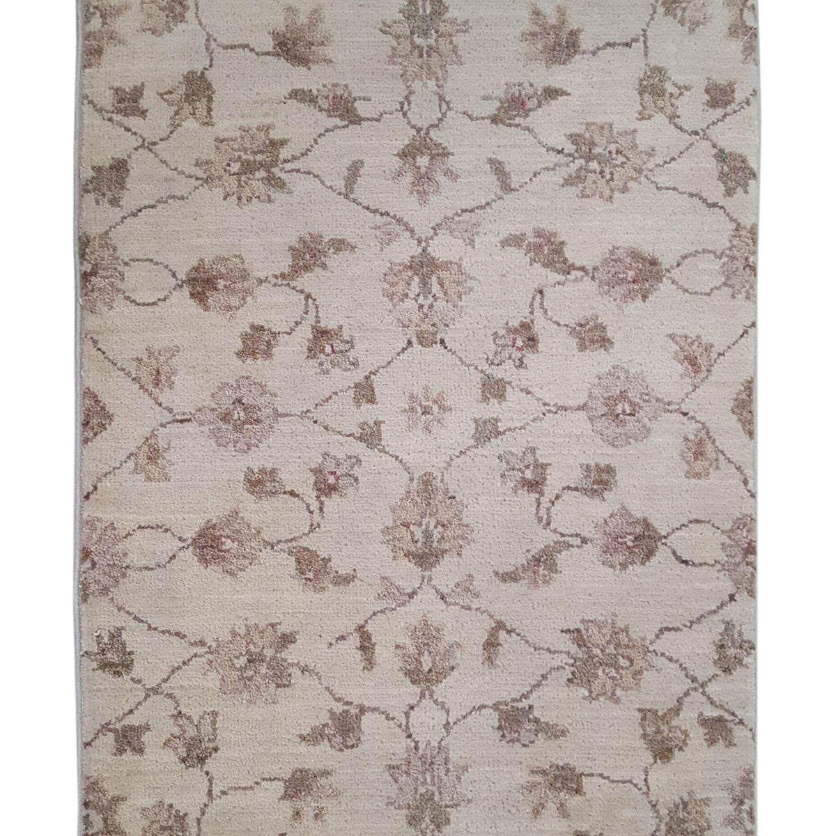 Pacific Ziegler  Ivory Ivory Transitional