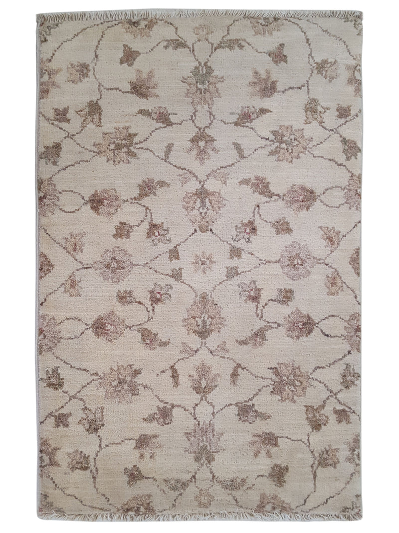 Pacific Ziegler  Ivory Ivory Transitional