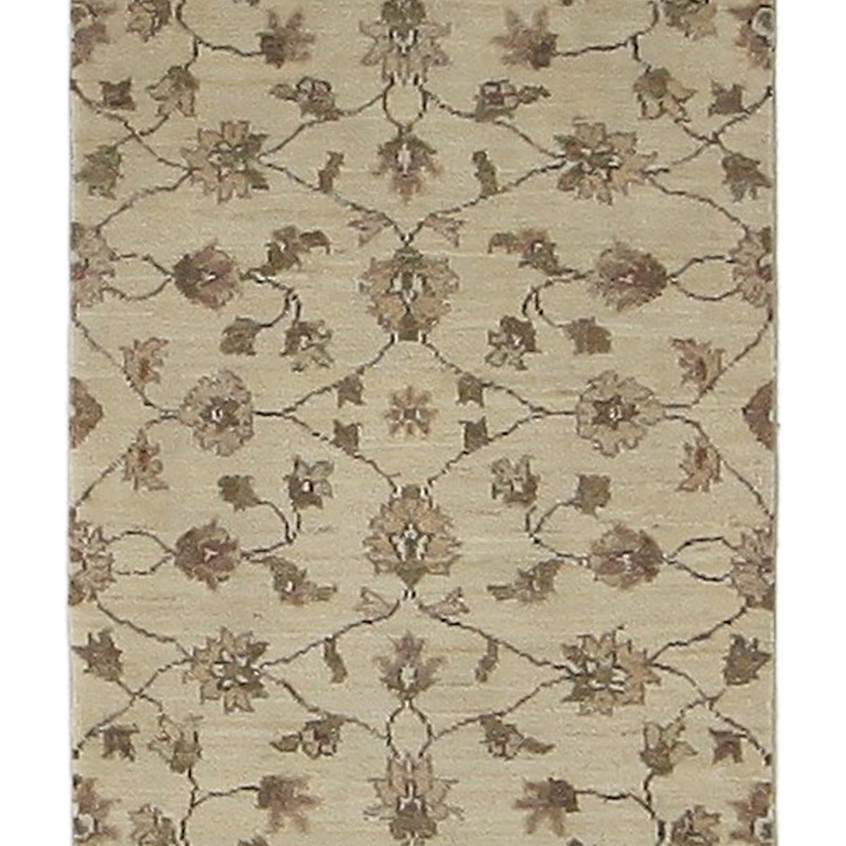 Pacific Ziegler  Ivory Ivory Transitional