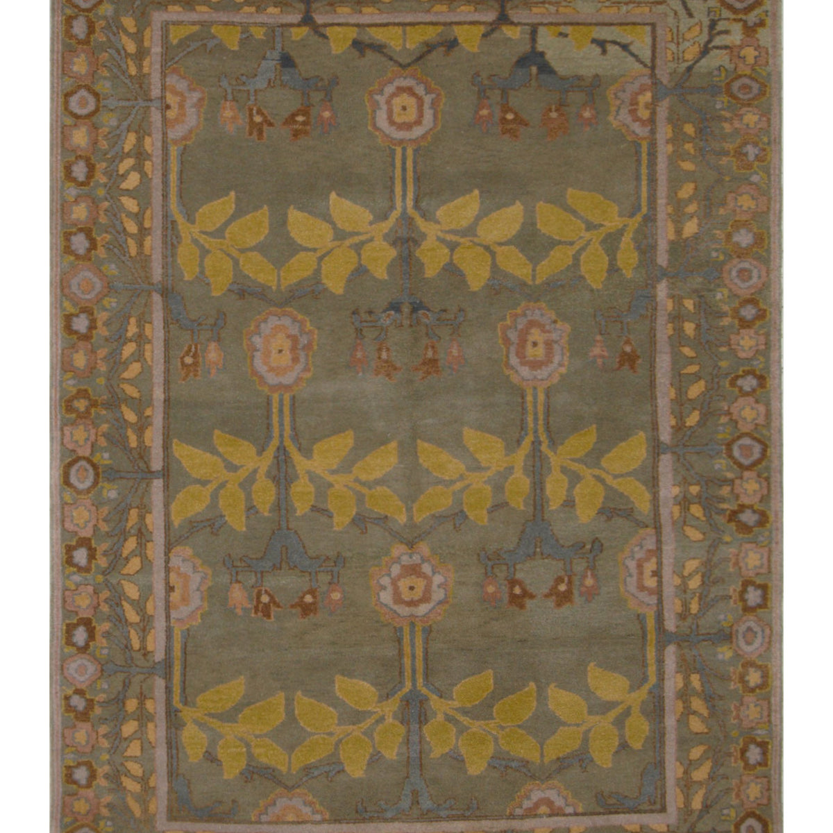 Pacific Tibetan  Olive Mustard Transitional