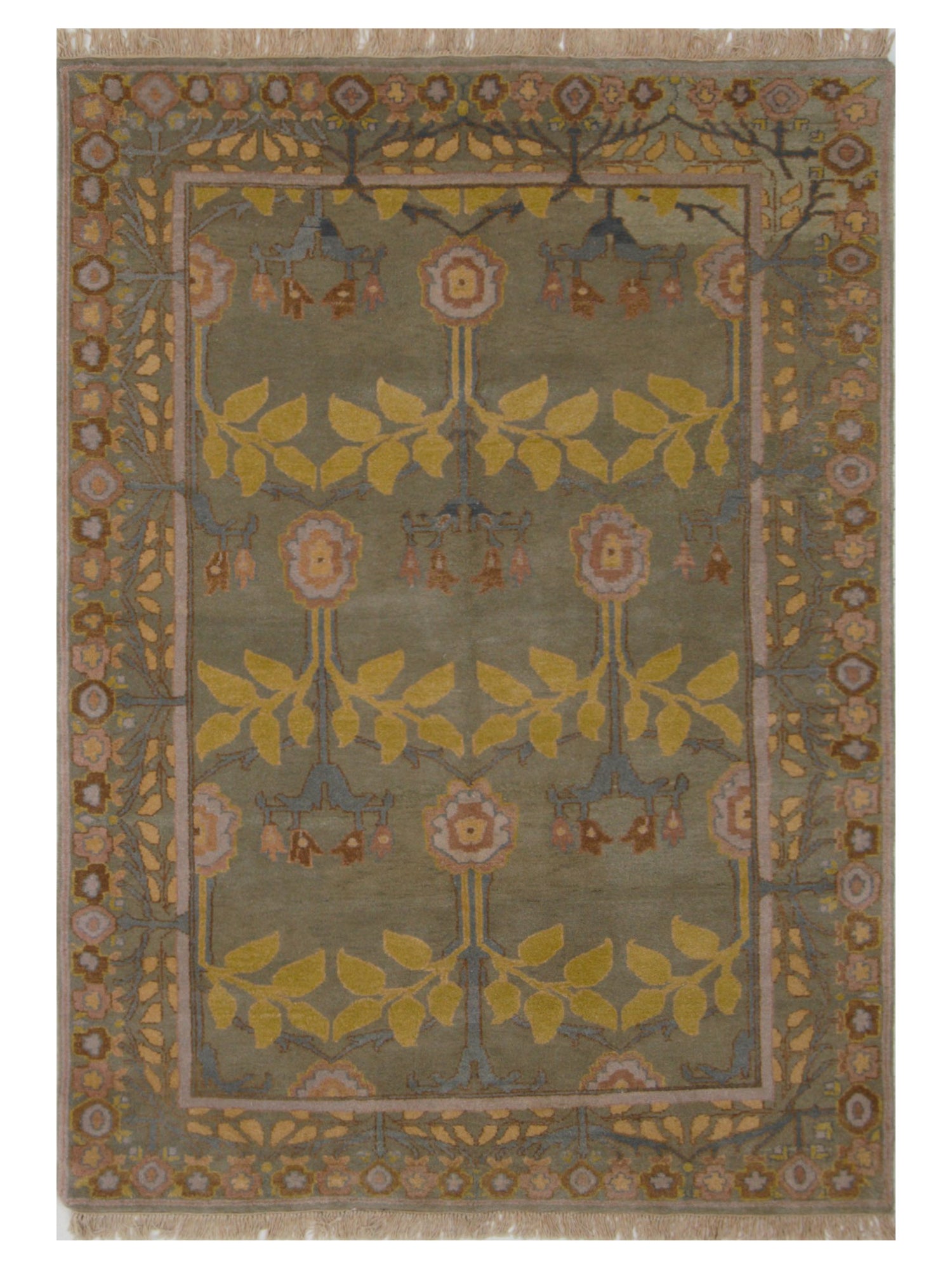 Pacific Tibetan  Olive Mustard Transitional