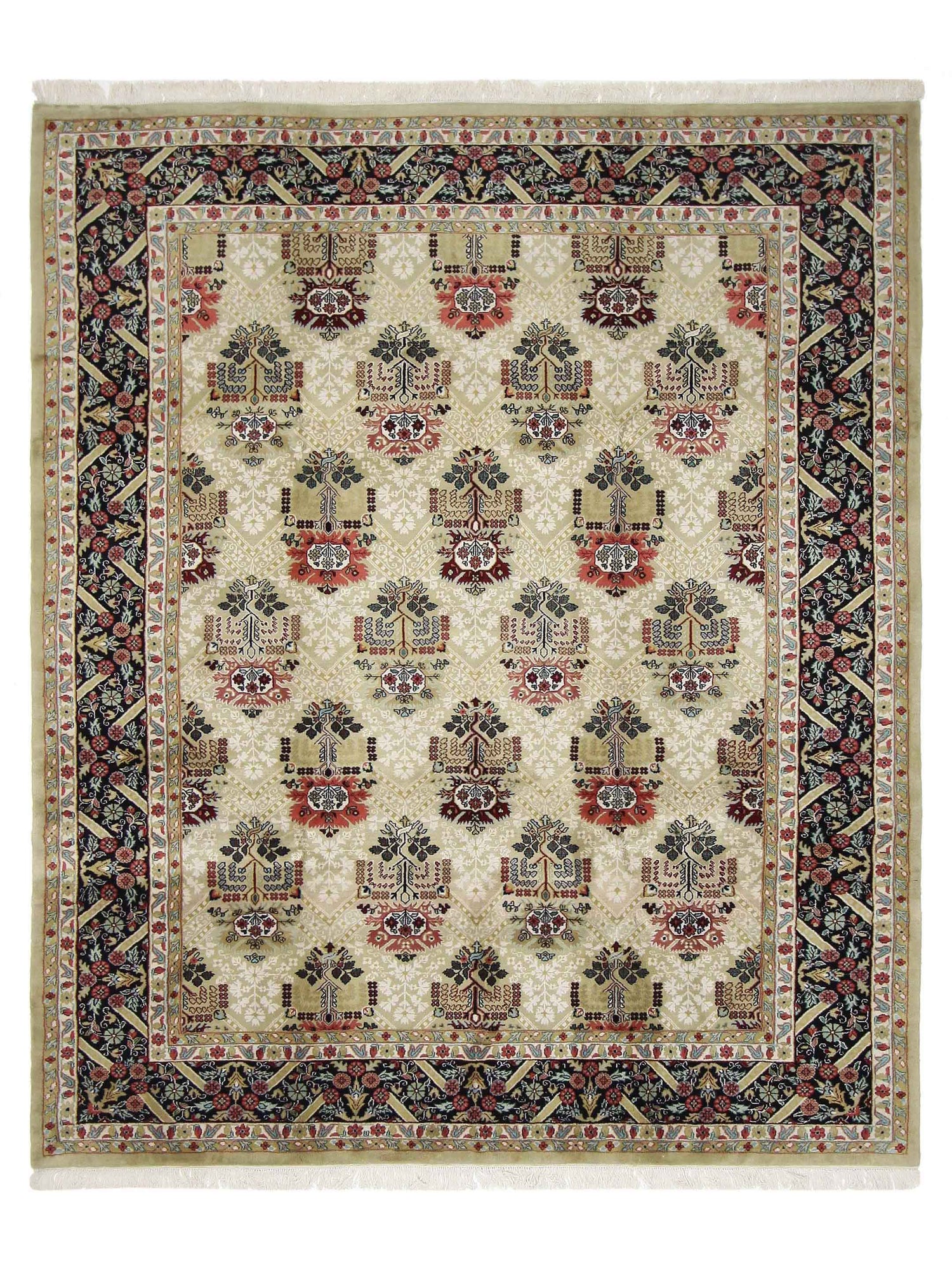 Pacific Maharaja  Beige Black Transitional