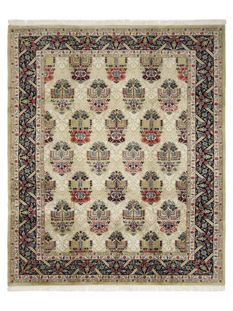 Pacific Maharaja  Beige Black Transitional