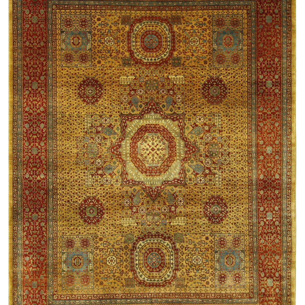 Pacific Mamluk  Dk.Gold Dk.Gold Traditional