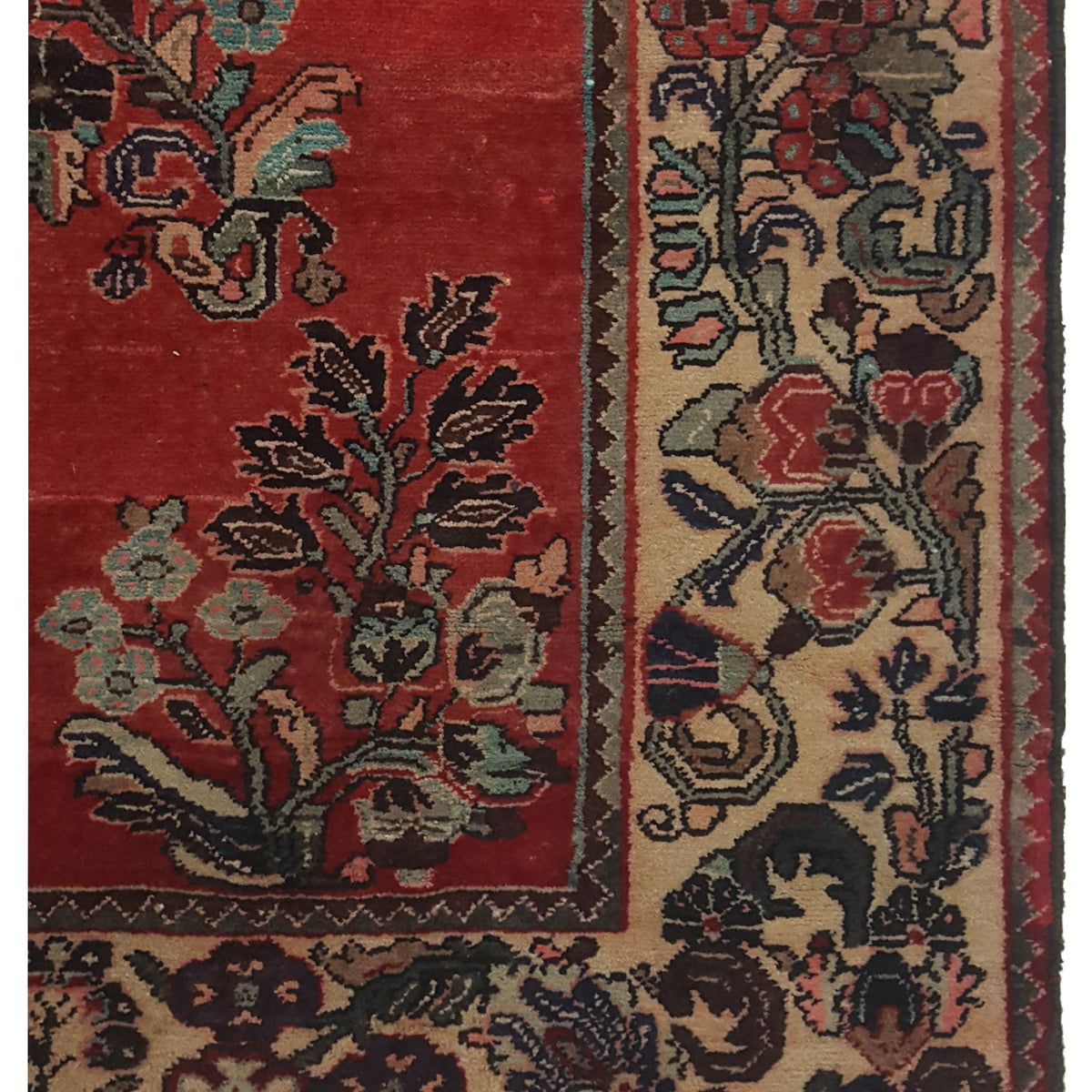 Pacific Bakhtiyari 67184 Red Ivory Traditional Hand Knotted Rug