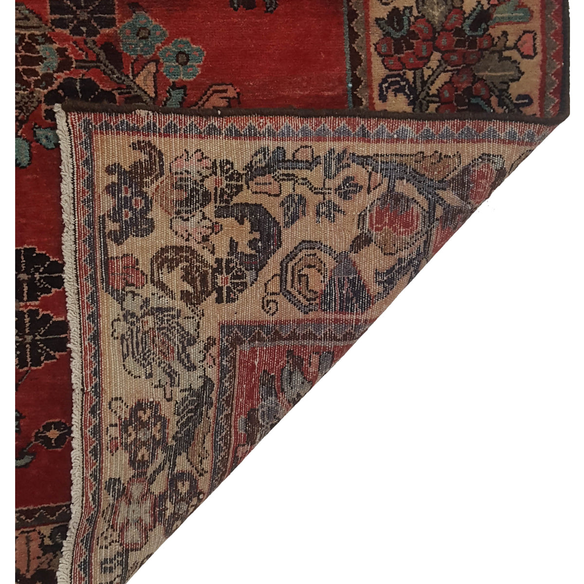 Pacific Bakhtiyari 67184 Red Ivory Traditional Hand Knotted Rug