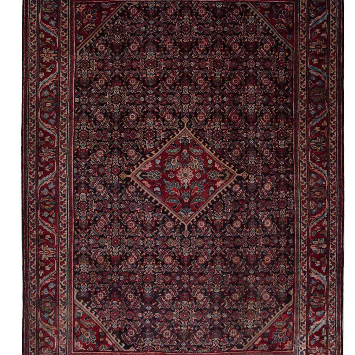 Pacific Mahal  Blue Red Traditional