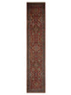 Pacific Malayer  Red Navy Traditional