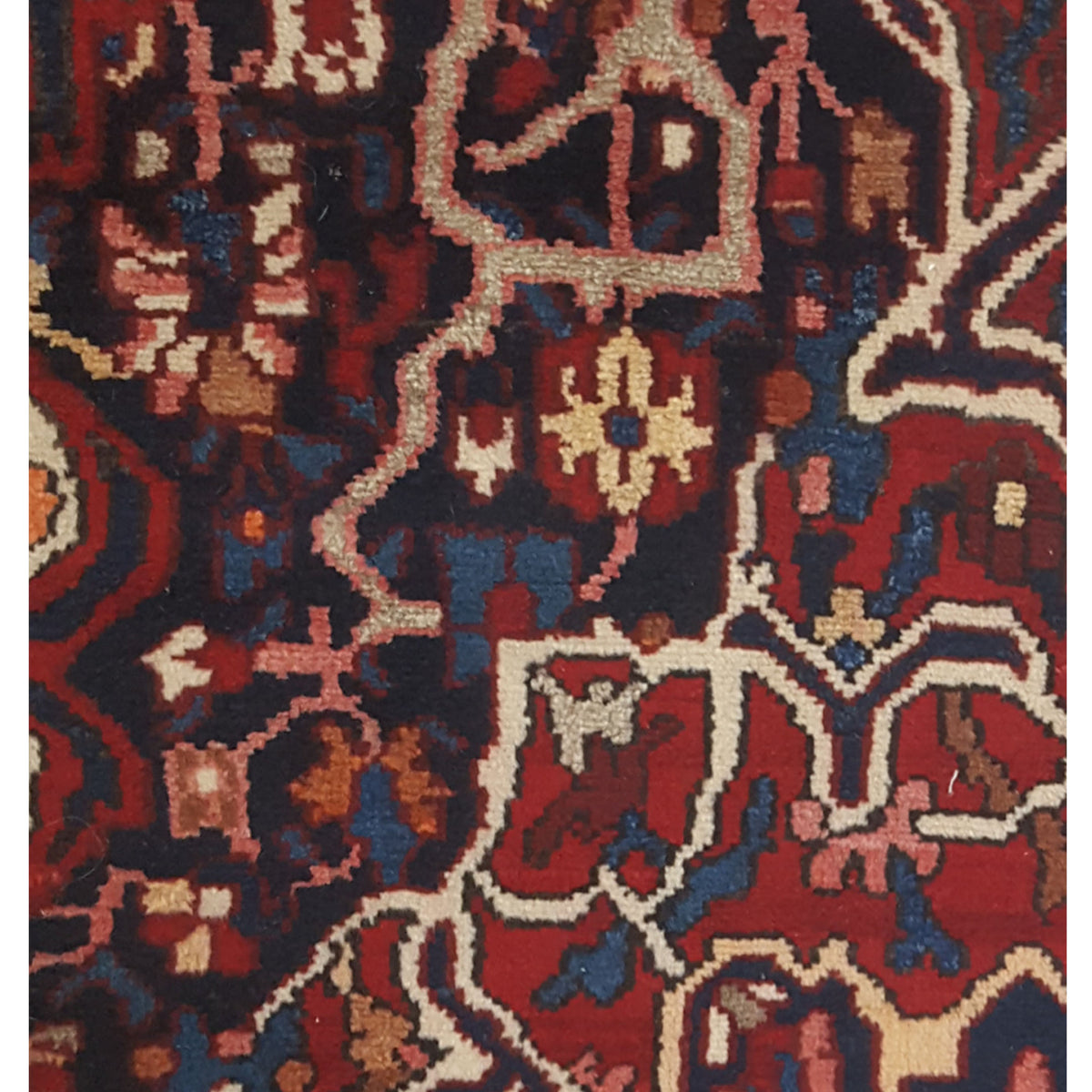 Pacific Bakhtiyari 67225 Red Ivory Traditional Hand Knotted Rug