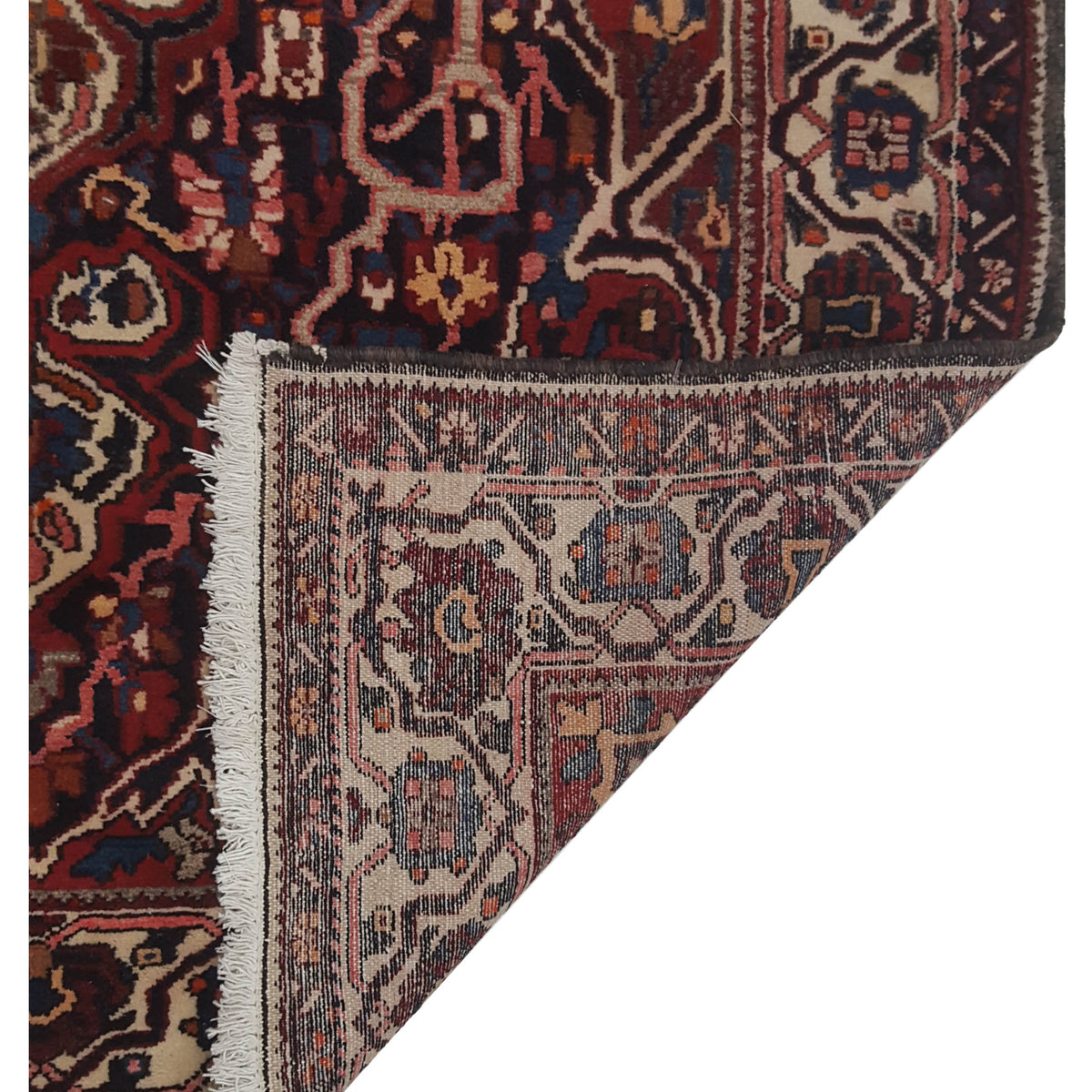 Pacific Bakhtiyari 67225 Red Ivory Traditional Hand Knotted Rug