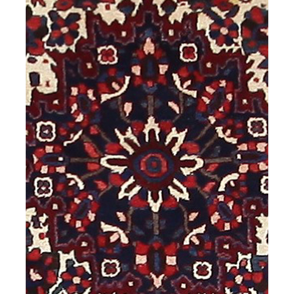 Pacific Bakhtiyari 67233 Red Red Traditional Hand Knotted Rug