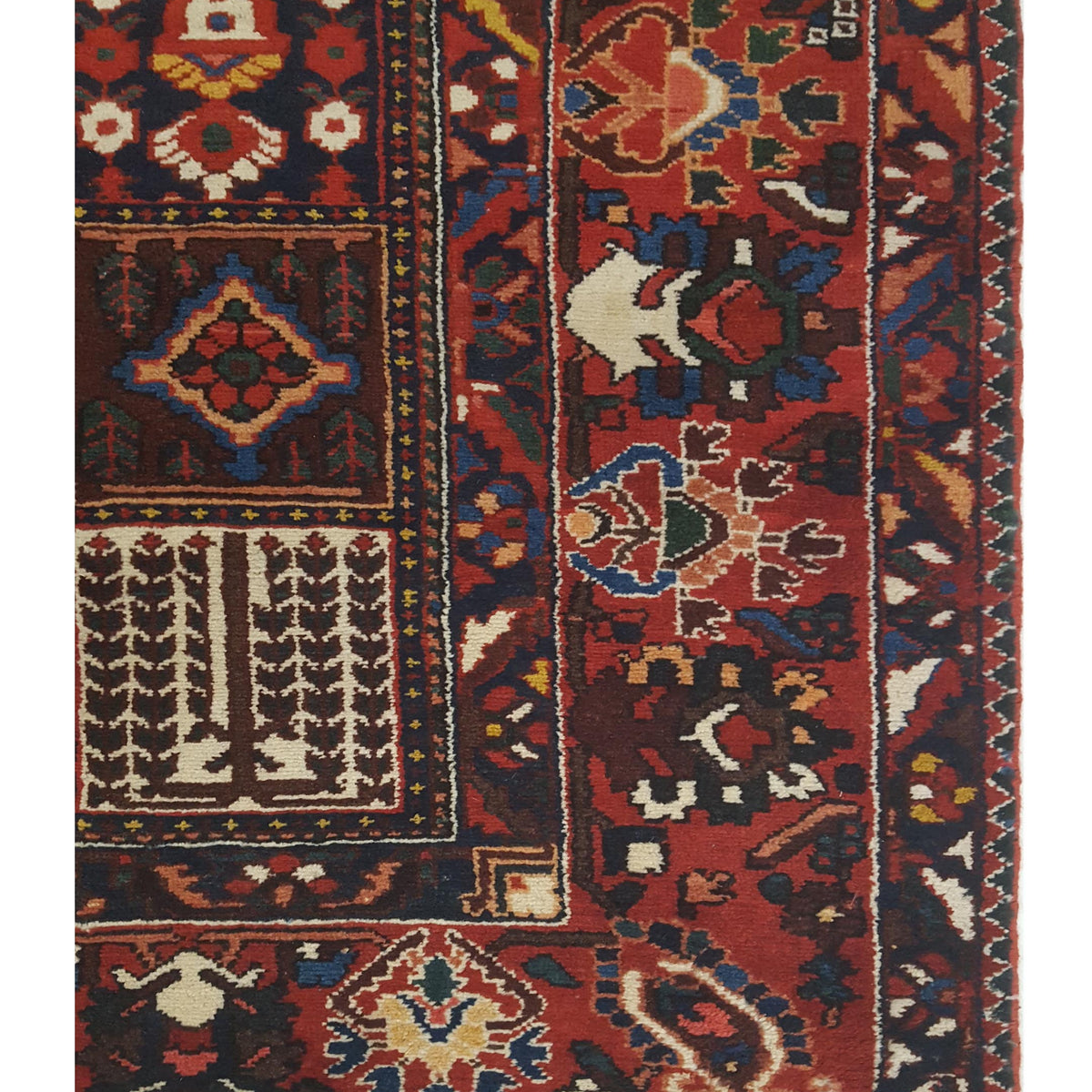 Pacific Bakhtiyari 67241 Red Red Traditional Hand Knotted Rug