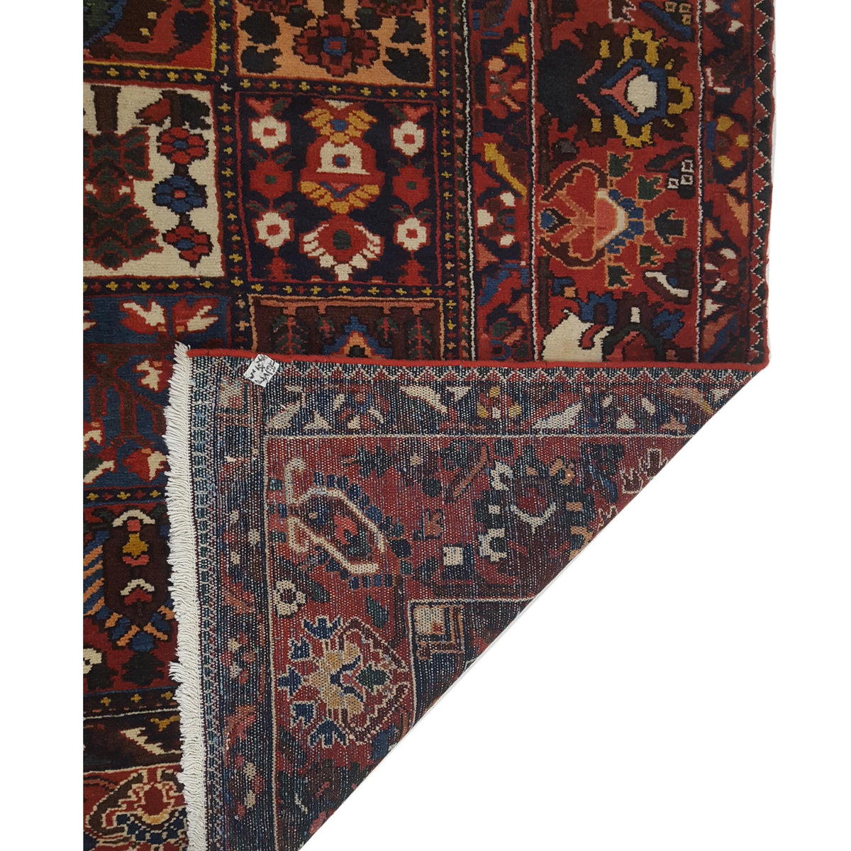 Pacific Bakhtiyari 67241 Red Red Traditional Hand Knotted Rug