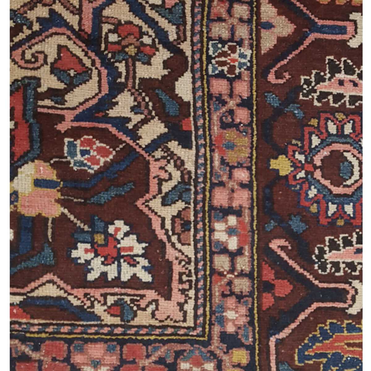 Pacific Bakhtiyari 67269 Brown Navy Traditional Hand Knotted Rug