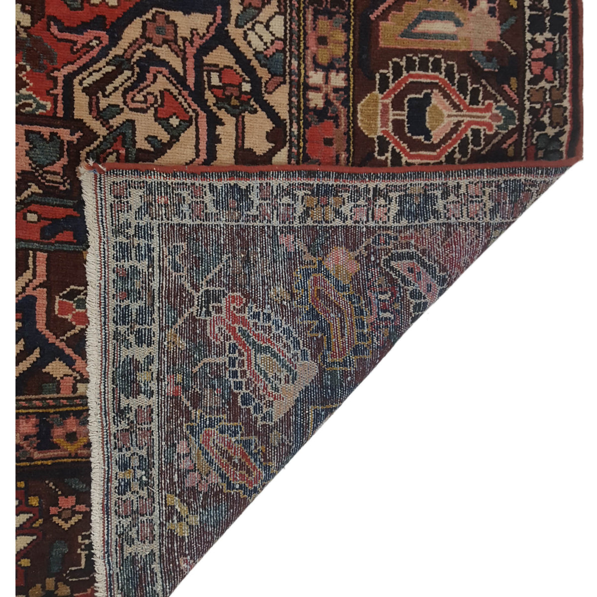 Pacific Bakhtiyari 67269 Brown Navy Traditional Hand Knotted Rug