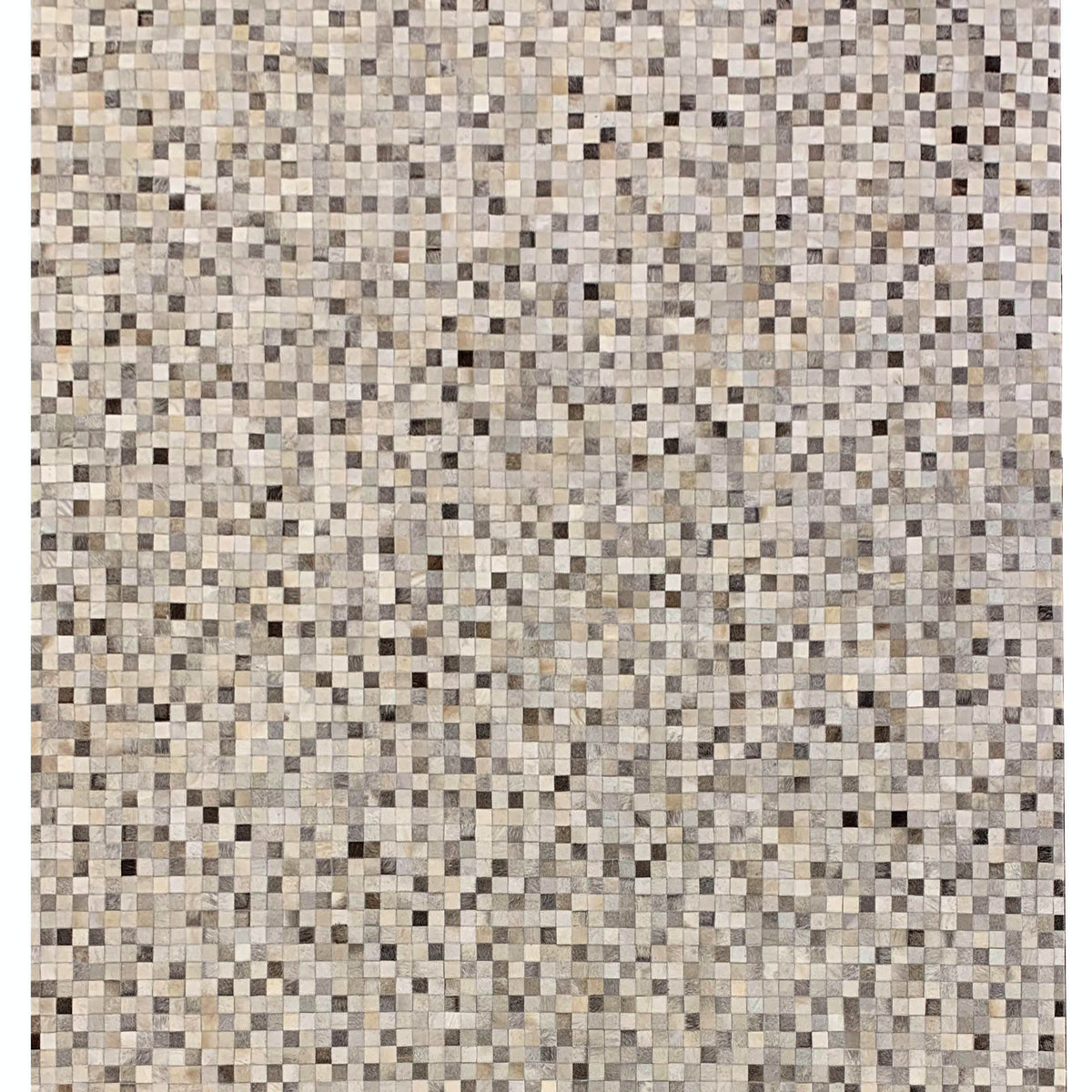 Super Carmel  Silver Grey Modern