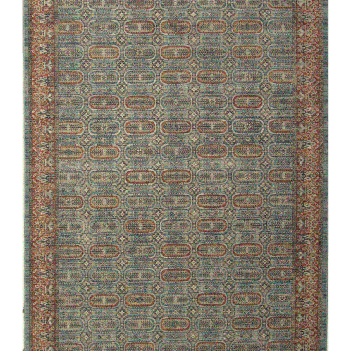 Pacific Cobra  Grey Rose Transitional