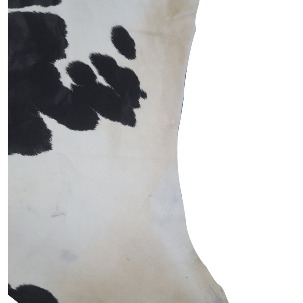 Aura Cowhide 73102 Ivory Black Cowhide Cowhide Rug