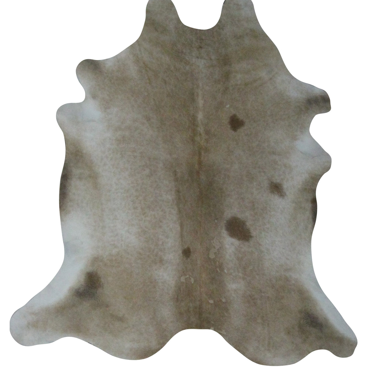 Aura Cowhide  Camel Beige Cowhide