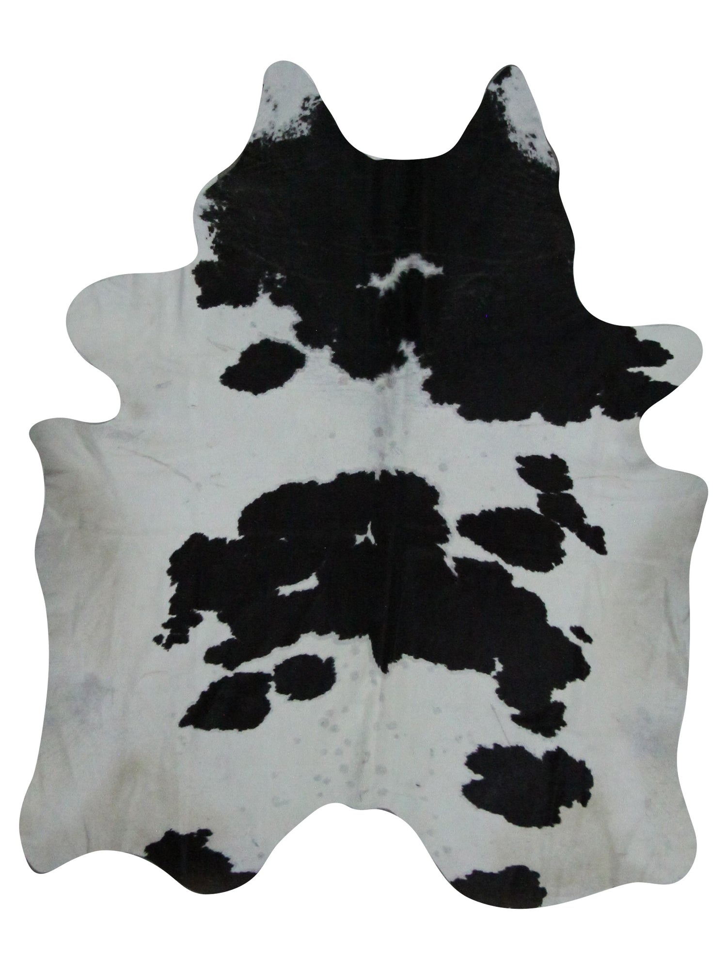Aura Cowhide  Black Ivory Cowhide
