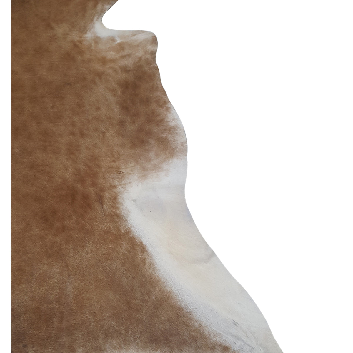 Aura Cowhide 73391 Camel Ivory Cowhide Cowhide Rug