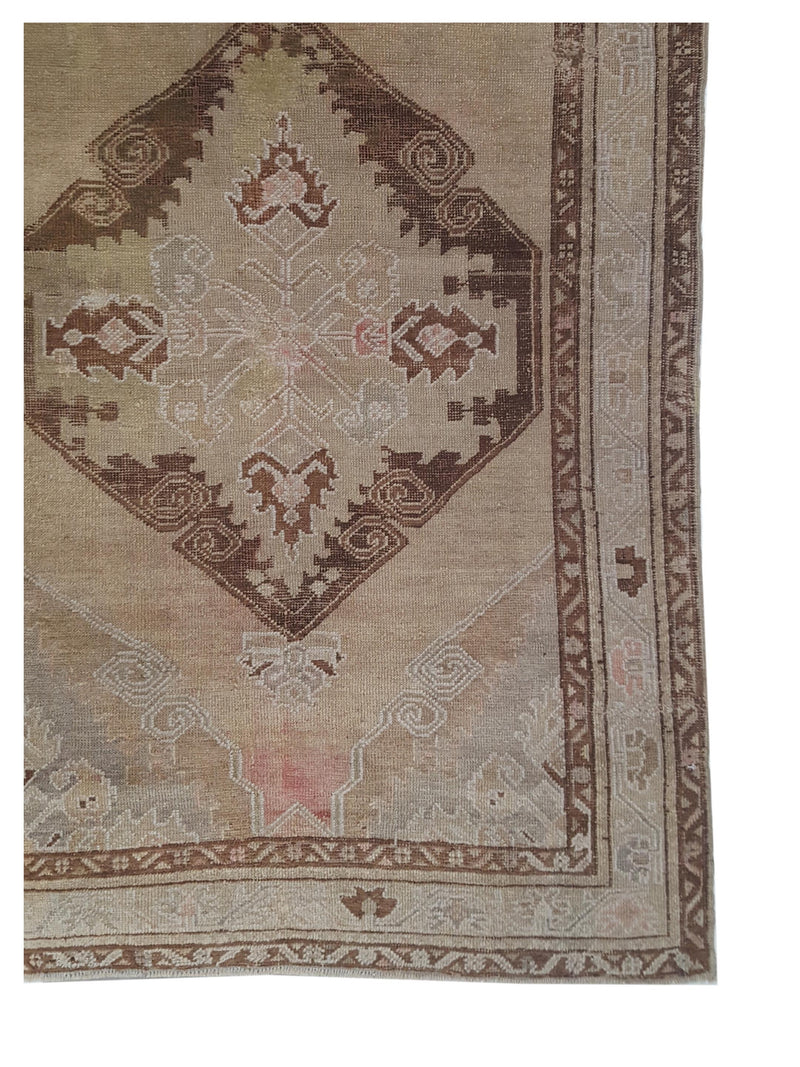 Pacific Anatolia 73533 Latte Mocha Transitional Hand Knotted Rug