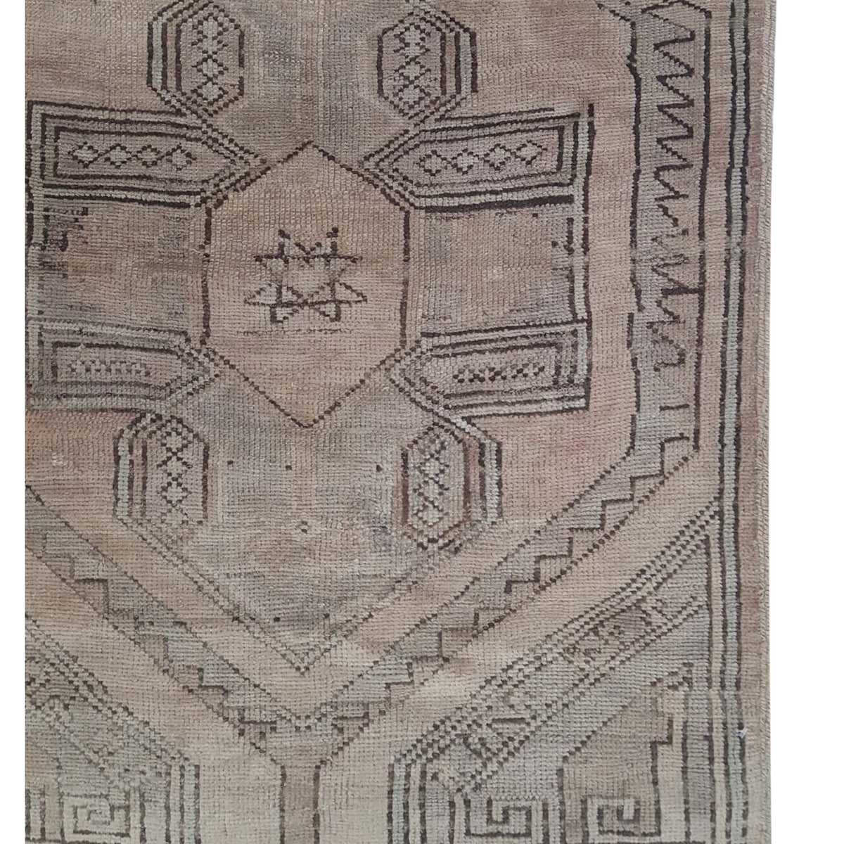 Pacific Anatolia 73540 Beige Mocha Transitional Hand Knotted Rug