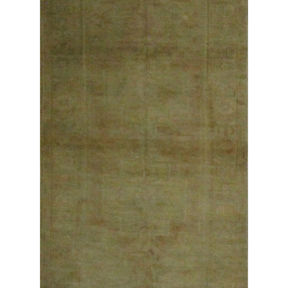 Pacific Anatolia  Latte Samen Transitional
