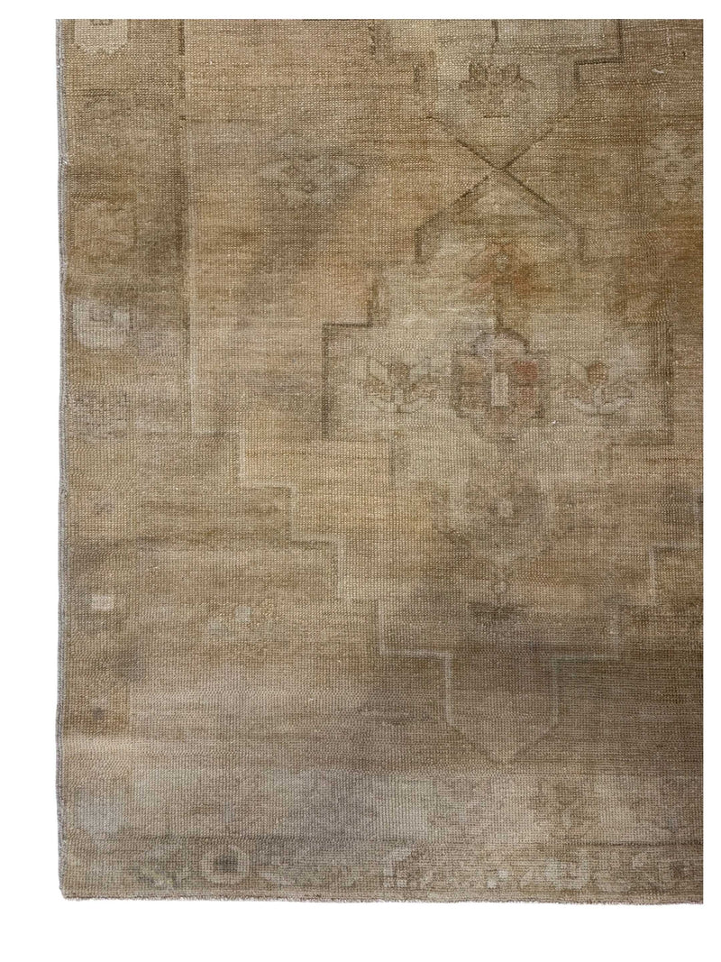 Pacific Anatolia 73557 Camel Latte Transitional Hand Knotted Rug