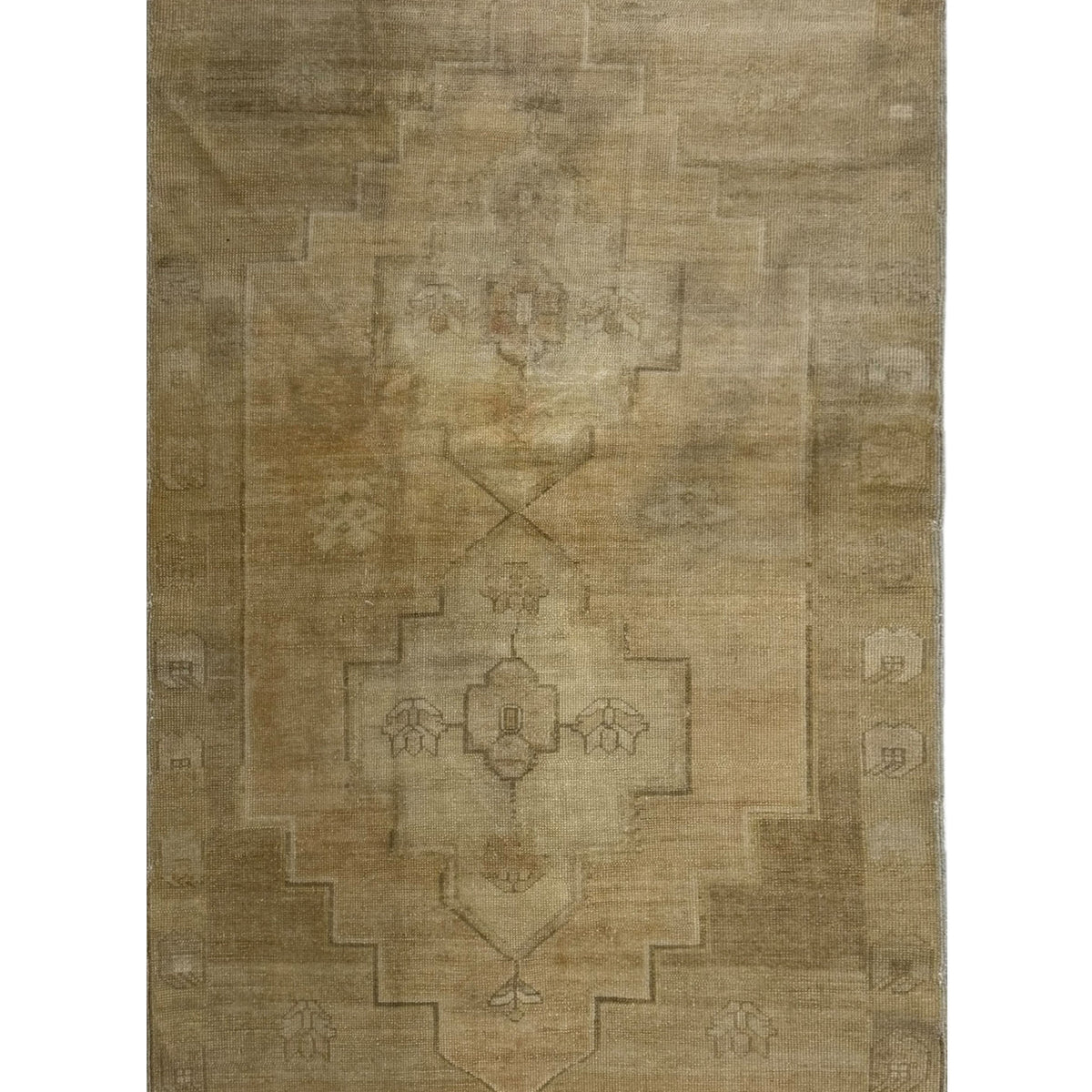 Pacific Anatolia  Camel Latte Transitional