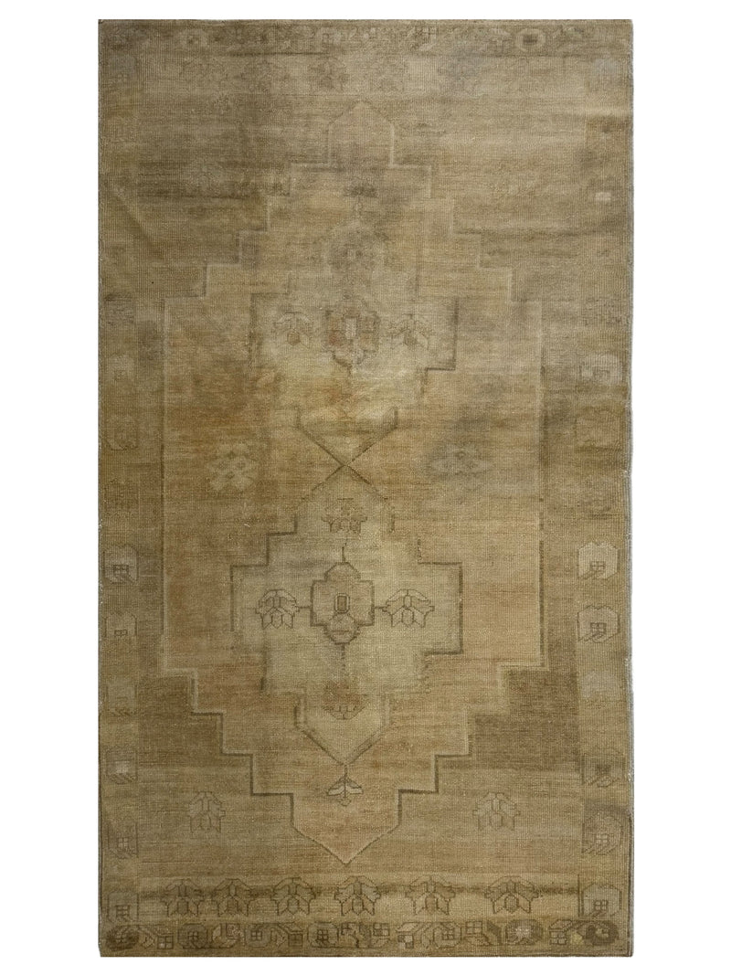 Pacific Anatolia  Camel Latte Transitional