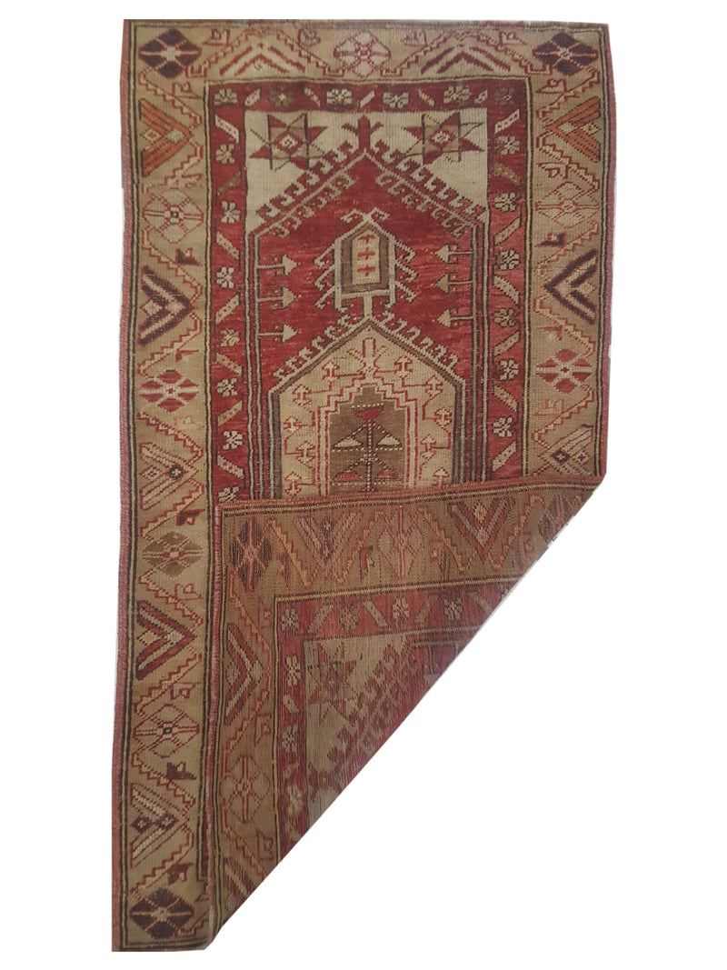 Pacific Anatolia 73568 Red Camel Transitional Hand Knotted Rug