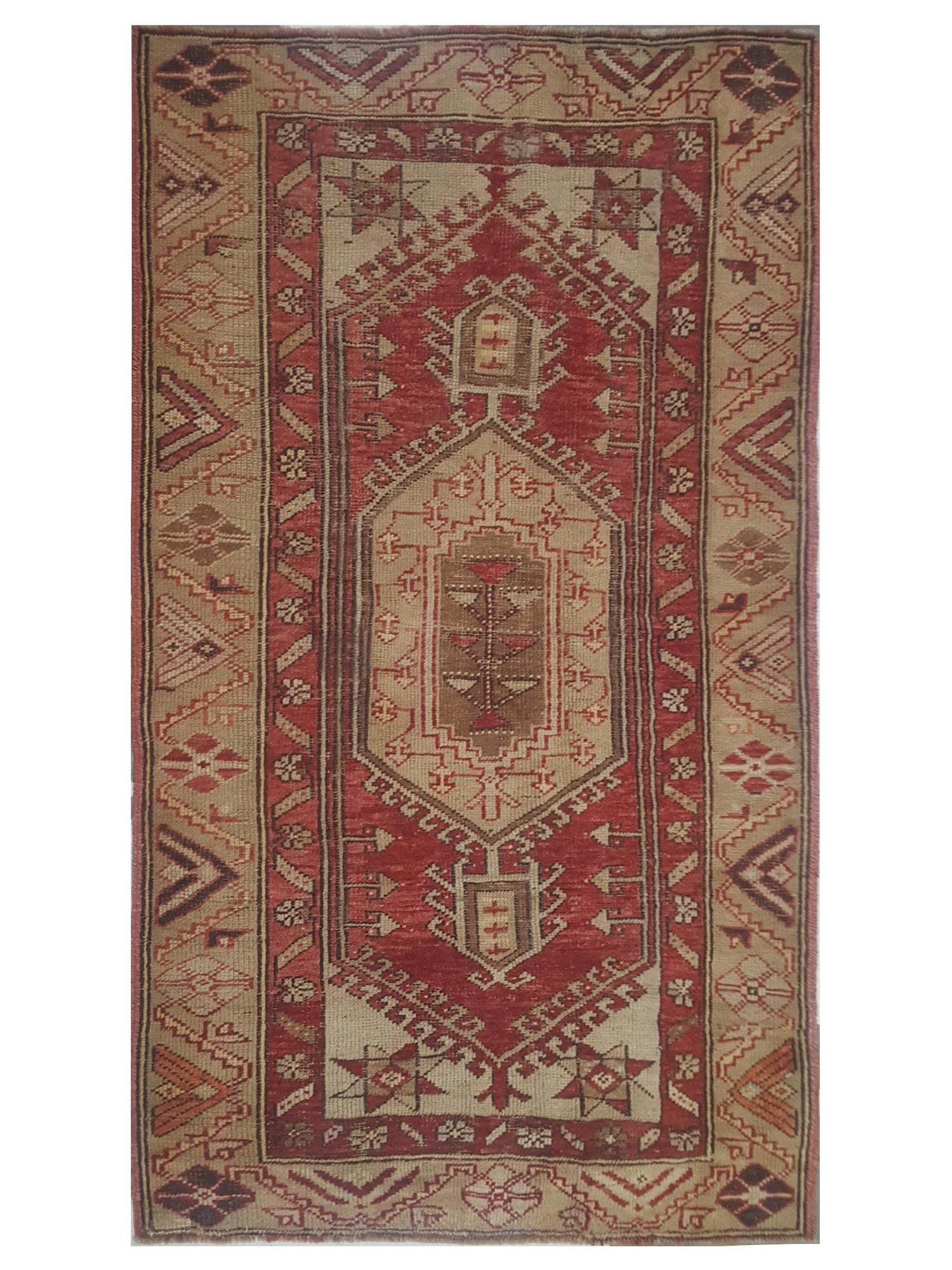 Pacific Anatolia  Red Camel Transitional