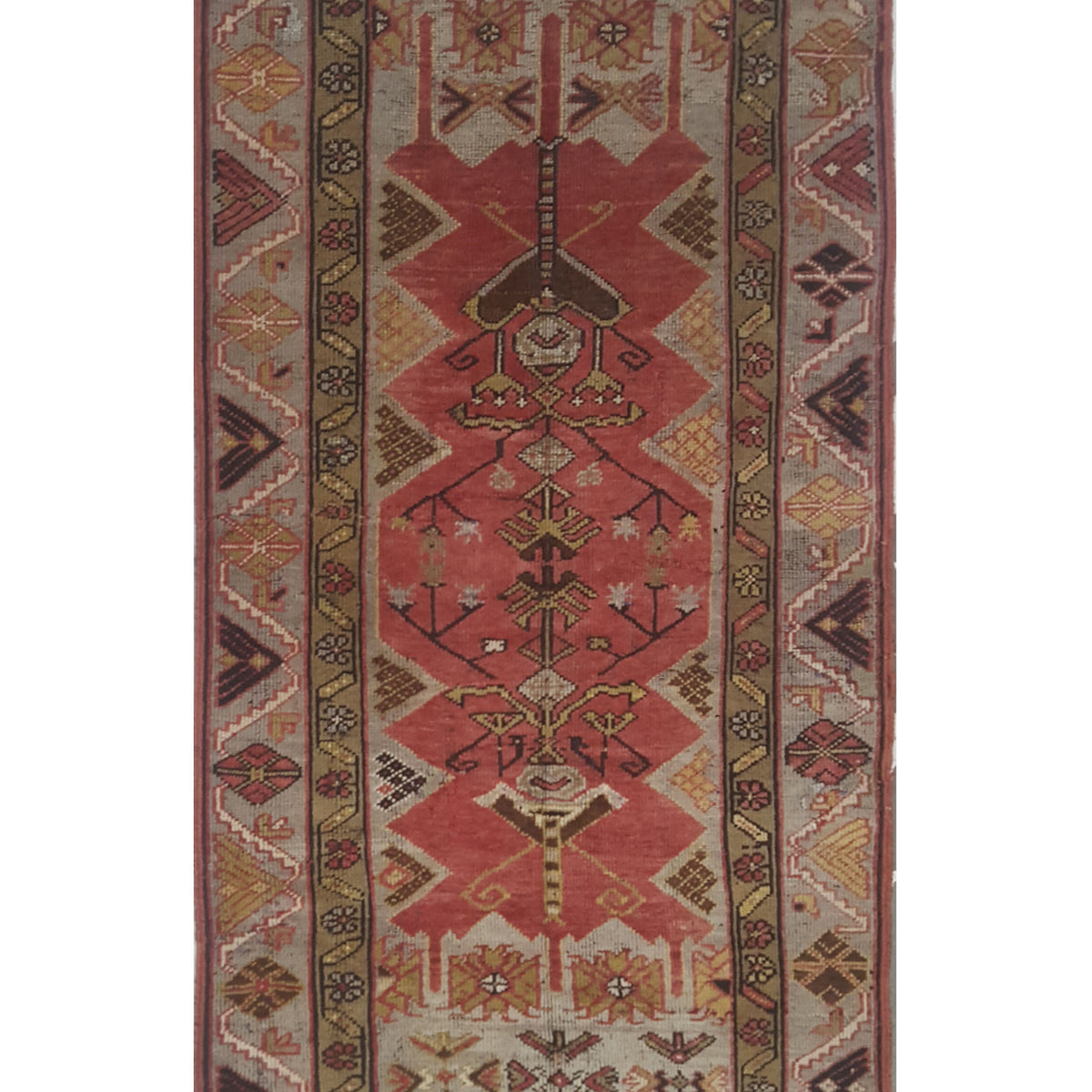 Pacific Anatolia  Rust Gold Transitional